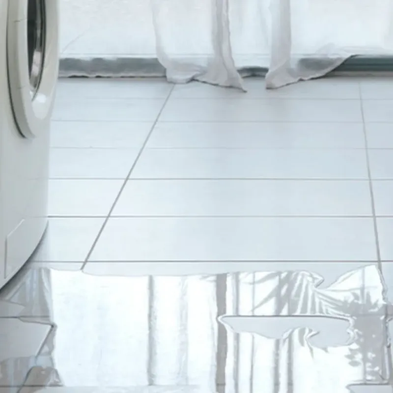 Appliance Leak Cleanup in Potomac, MD